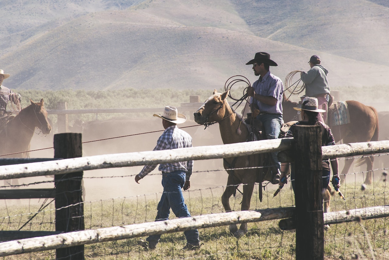 O que significa sonhar com um cowboy?