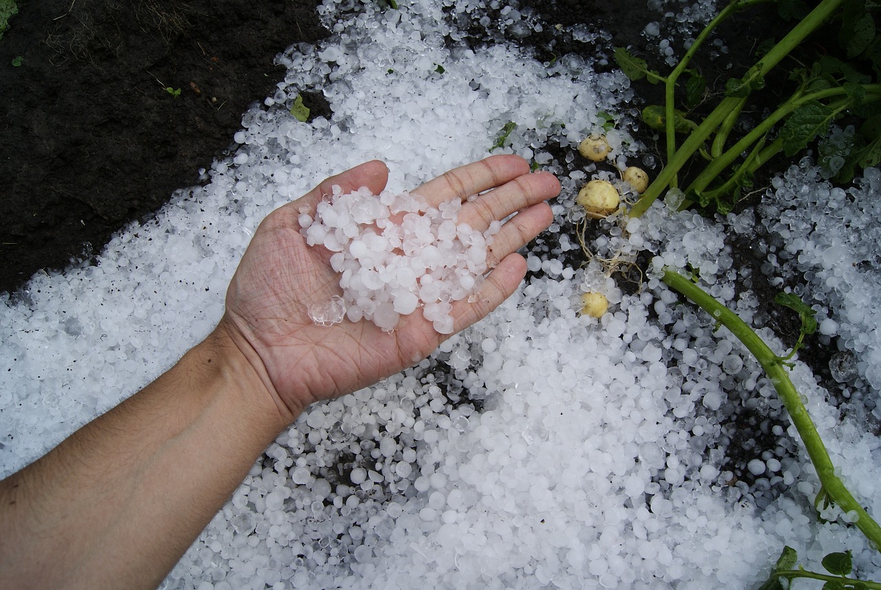 O que significa sonhar com granizo?